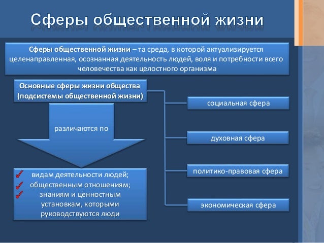 Социальные отношения с окружением Социальные отношения с окружением